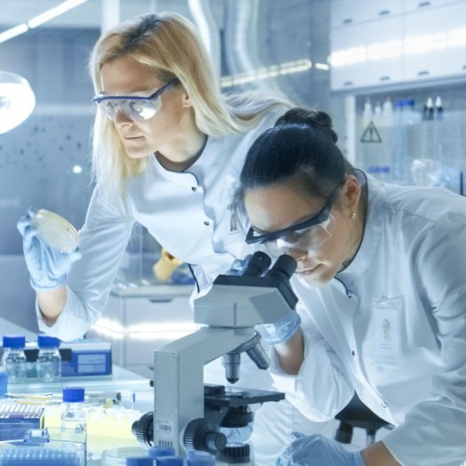 installation-laboratoire-armoires-stockage-paillasses-hottes-meubles-mobiles-laveries-laboratoires-finistere-France